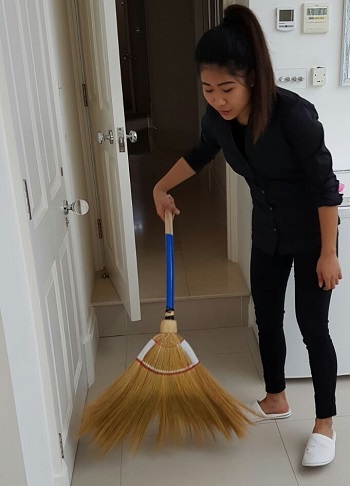 Domestic Cleaner London